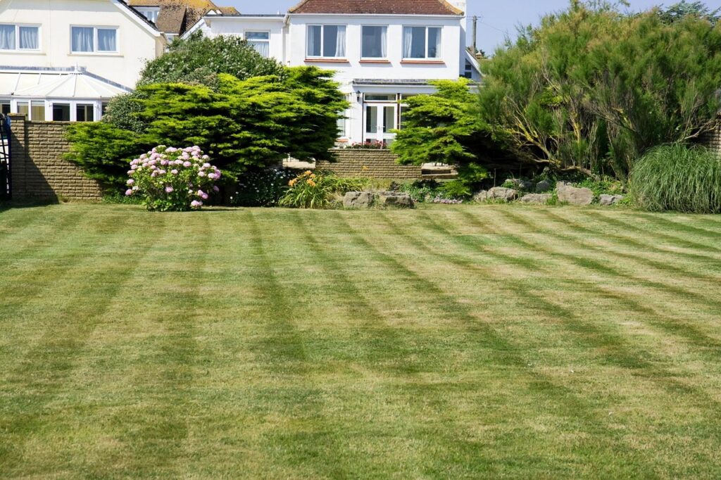grass, lawn, green, mown, mowed, stripes, garden, strips, nature, lawn, lawn, lawn, lawn, lawn